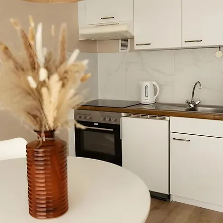 Superior App 229 Mit Pool Und Sauna Apartment Braunlage