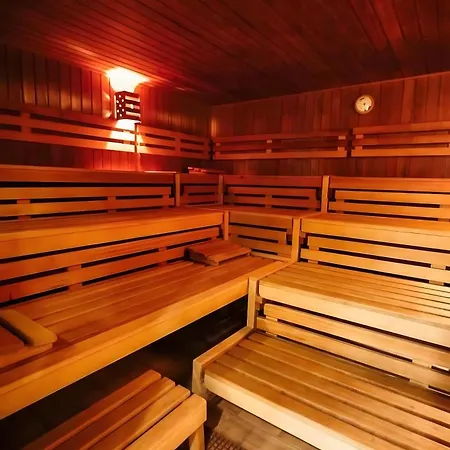 Superior App 229 Mit Pool Und Sauna * Braunlage