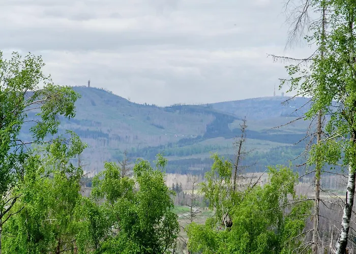 Superior App 229 Mit Pool Und Sauna 布劳恩拉格