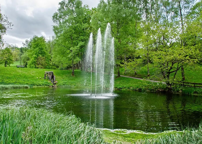 Superior App 229 Mit Pool Und Sauna